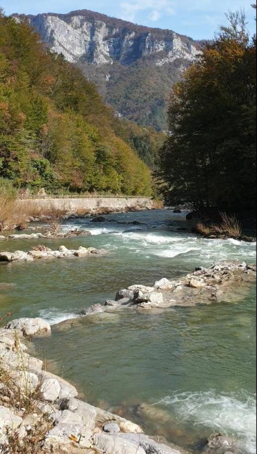 Resort Stari Malni, Osilnica - Vacation Houses Stari Malni 外观 照片